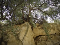 Riserva Imera